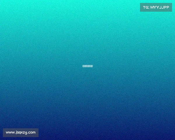 安索帕中国集团